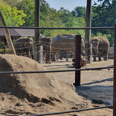 2019-08-31 10.59.12 - Kopie