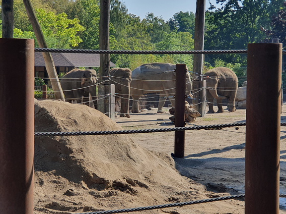 2019-08-31 10.59.12 - Kopie