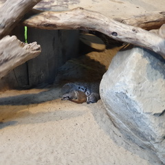 2019-08-31 11.01.26 - Kopie