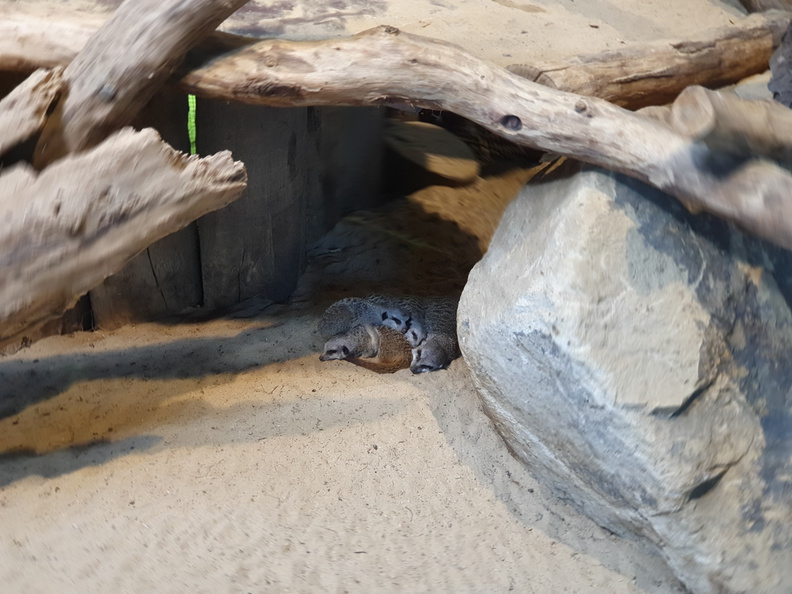 2019-08-31 11.01.26 - Kopie