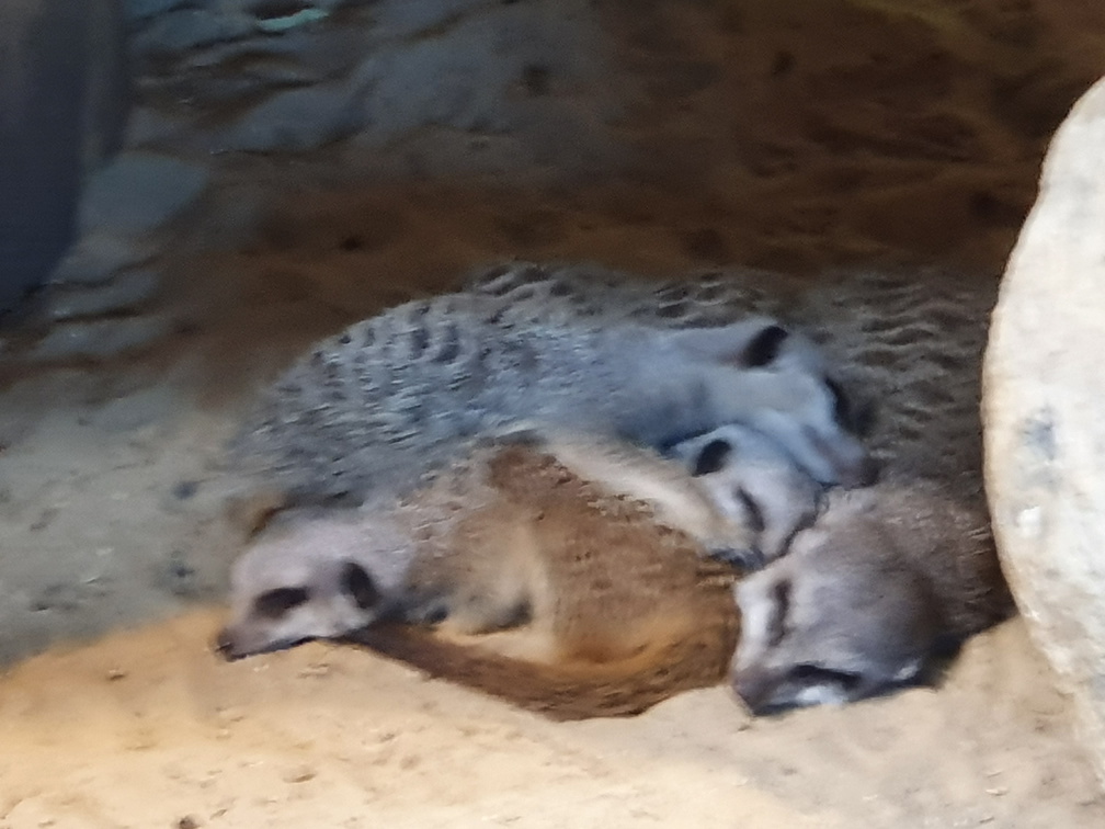 2019-08-31 11.01.34 - Kopie