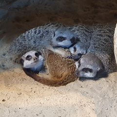 2019-08-31 11.01.36 - Kopie