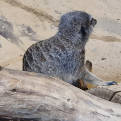 2019-08-31 11.01.42 - Kopie