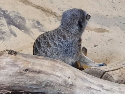 2019-08-31 11.01.42 - Kopie