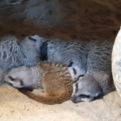 2019-08-31 11.01.46 - Kopie