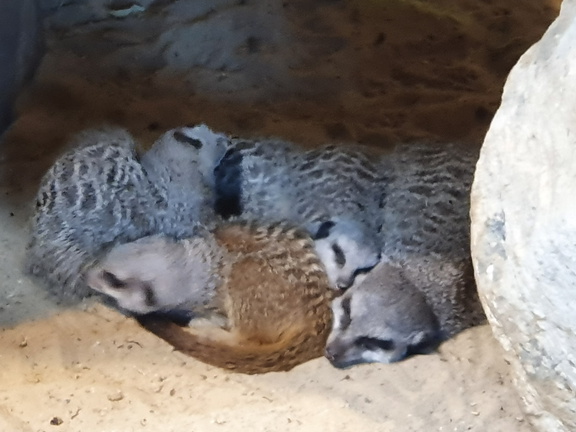 2019-08-31 11.01.46 - Kopie