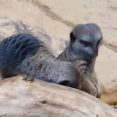 2019-08-31 11.02.01 - Kopie