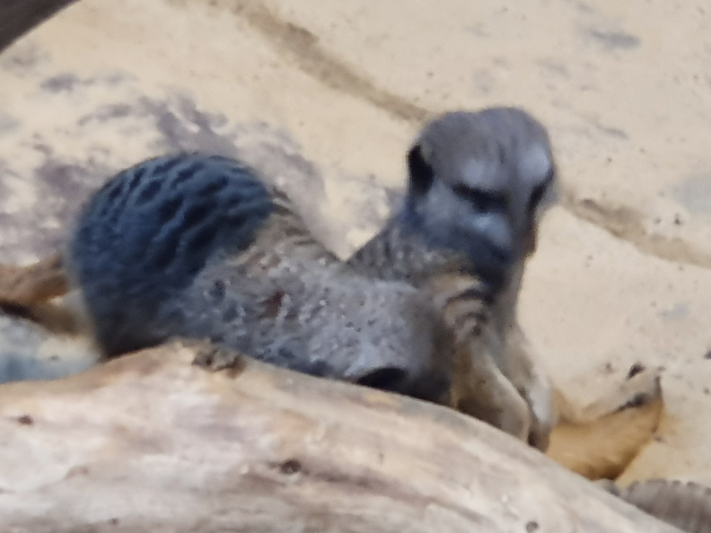 2019-08-31 11.02.01 - Kopie