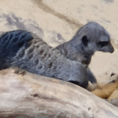 2019-08-31 11.02.03 - Kopie