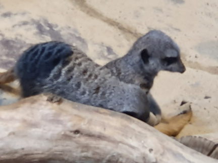 2019-08-31 11.02.03 - Kopie