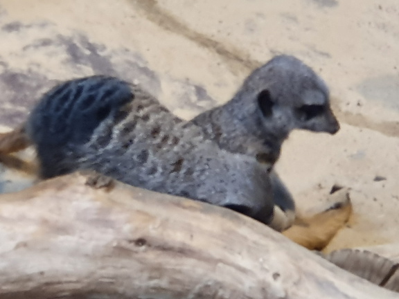 2019-08-31 11.02.03 - Kopie