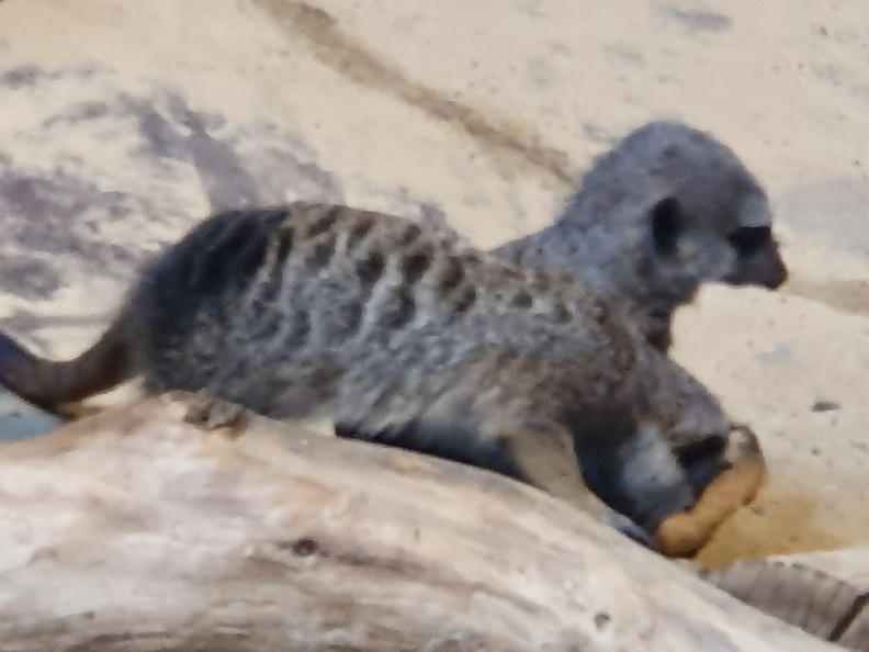 2019-08-31 11.02.04 - Kopie