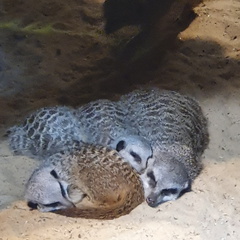 2019-08-31 11.02.28-1 - Kopie