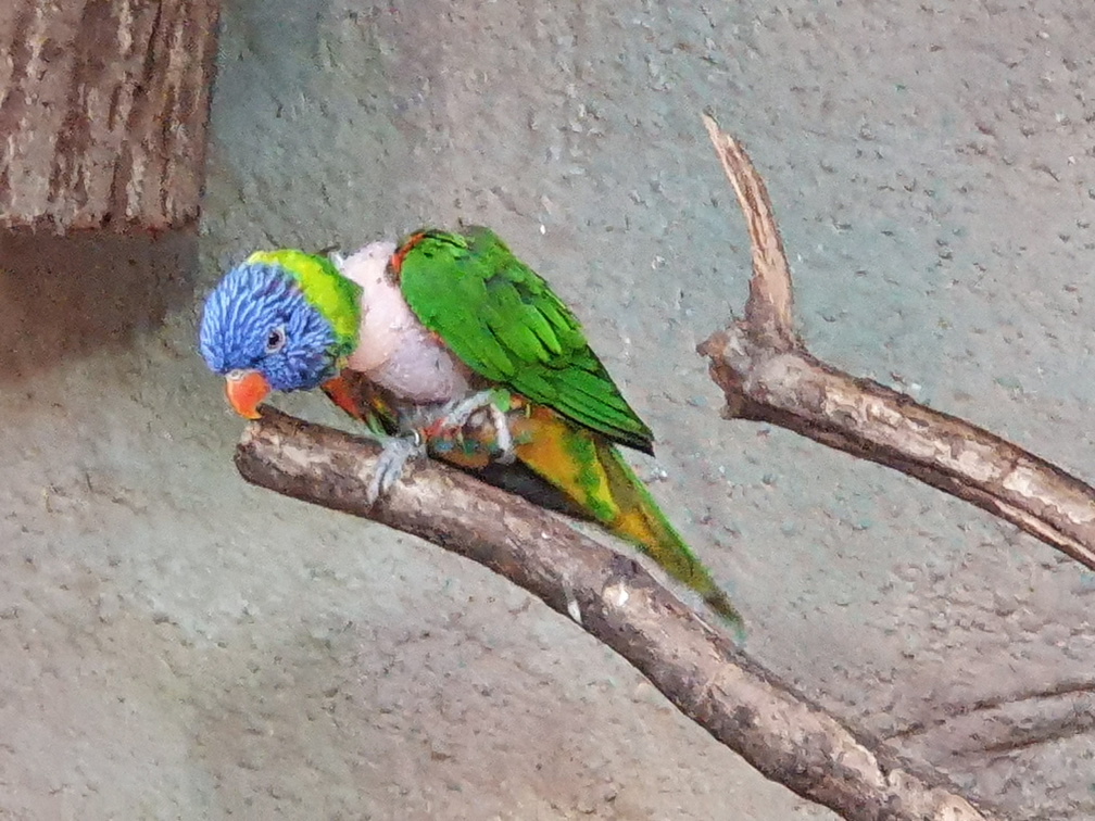 2019-08-31 11.04.14 - Kopie