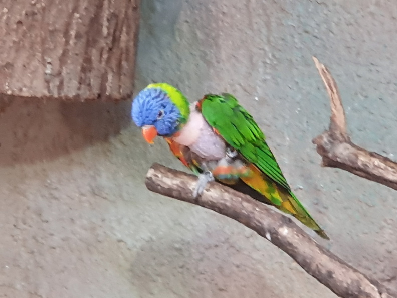 2019-08-31 11.04.16 - Kopie