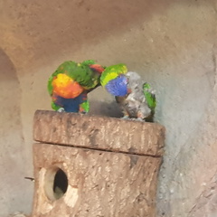 2019-08-31 11.04.32 - Kopie