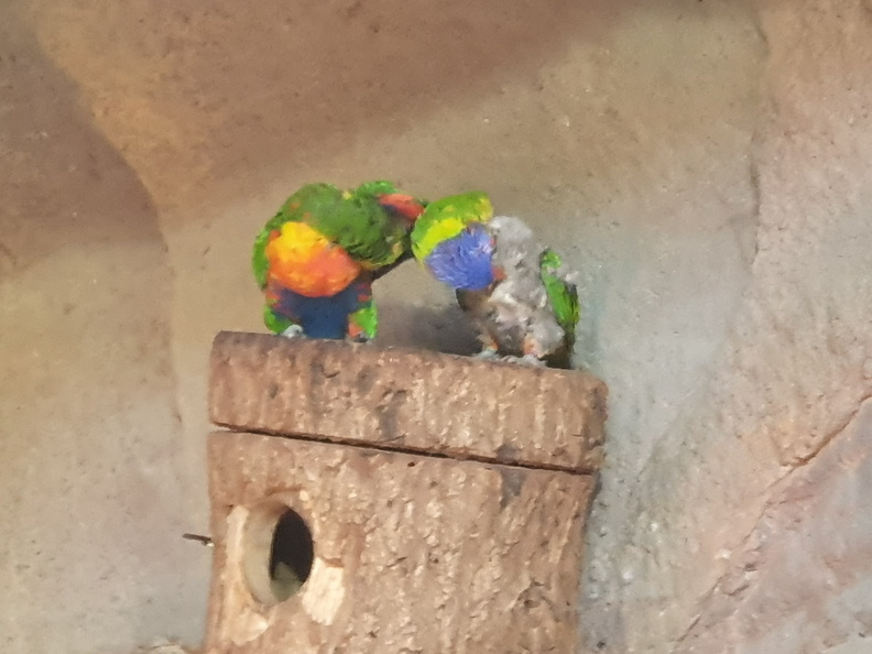 2019-08-31 11.04.32 - Kopie