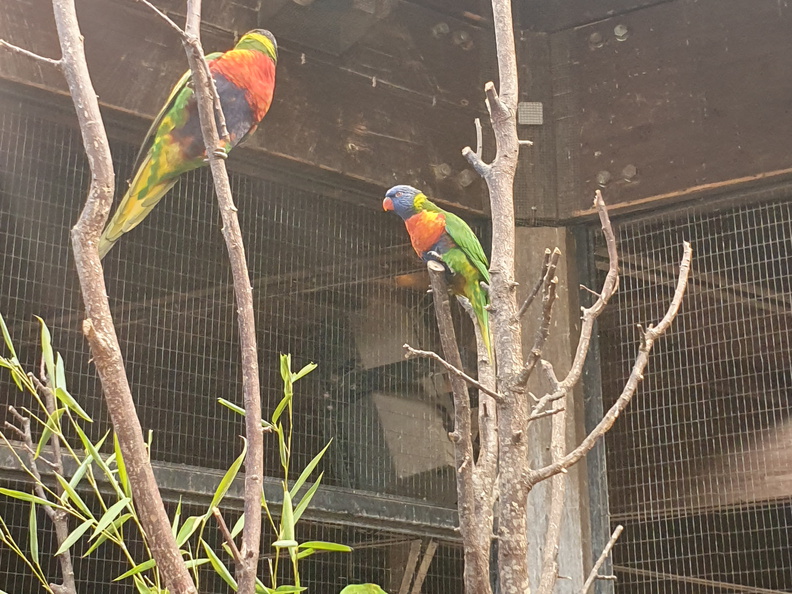 2019-08-31 11.05.18-1 - Kopie