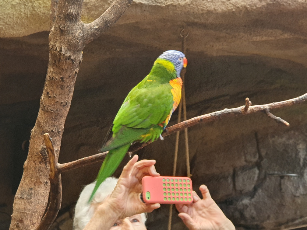 2019-08-31 11.05.35 - Kopie