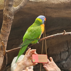 2019-08-31 11.05.35 - Kopie