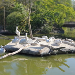 2019-08-31 11.08.10-1 - Kopie