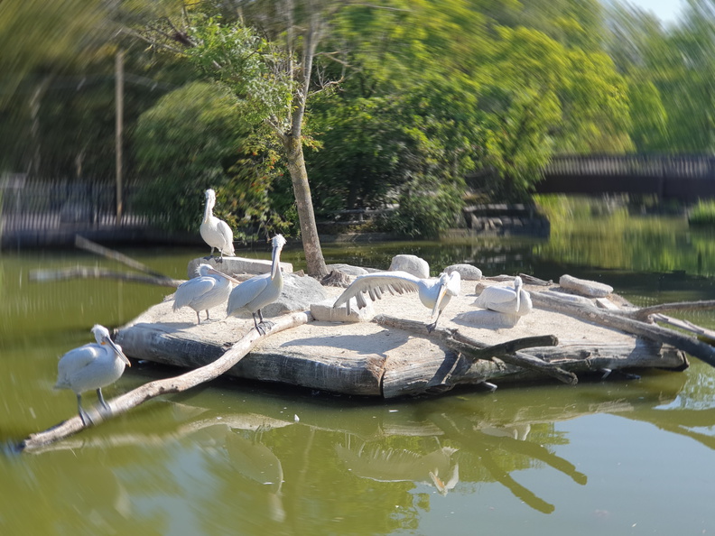 2019-08-31 11.08.10-1 - Kopie