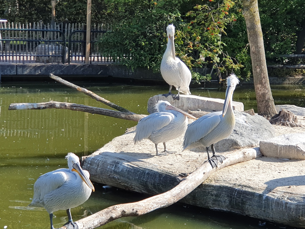 2019-08-31 11.08.22 - Kopie