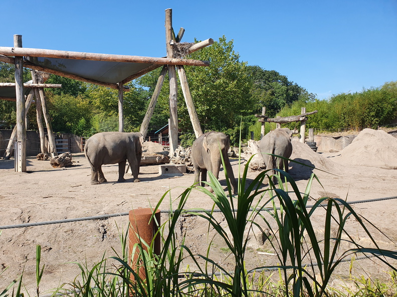 2019-08-31 11.08.56-1 - Kopie