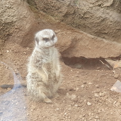 2019-11-03 13.27.34-1