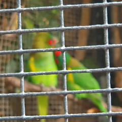 2019-11-03 13.39.56-1