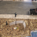 DSC00227 3