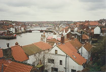 york82.jpg