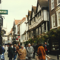 york36