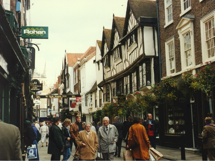 york36
