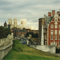 york43