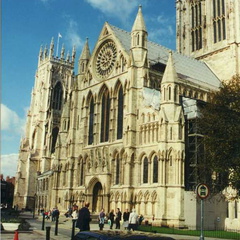 york31