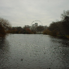 St. James's Park