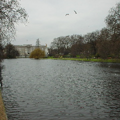 St. James's Park