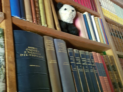 2018-06-18 13.50.41-1