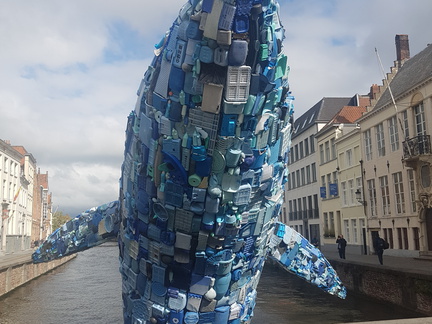 2018-09-06 15.55.15-1