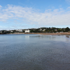 2019-09-13 10.23.57-1