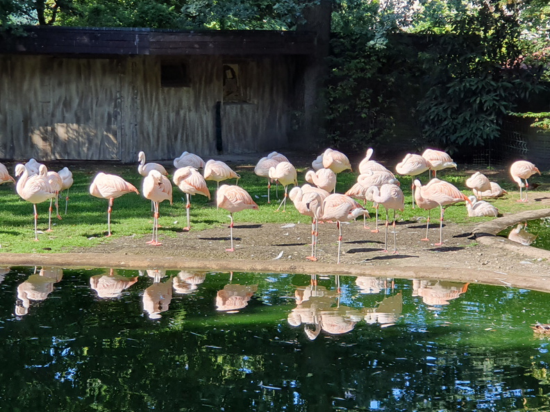 2019-08-31 10.51.25 - Kopie