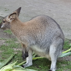 2019-08-31 10.54.02 - Kopie