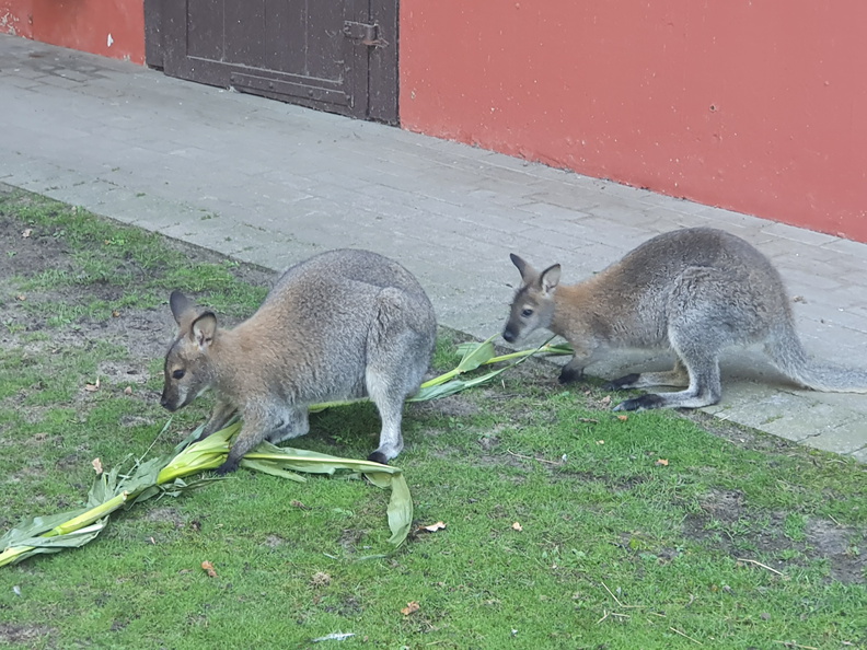 2019-08-31 10.54.14 - Kopie