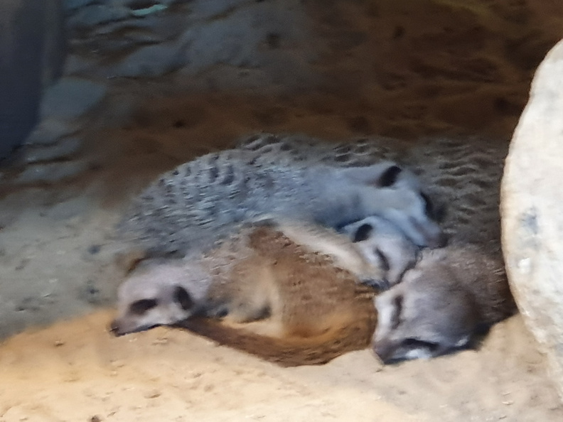 2019-08-31 11.01.34 - Kopie