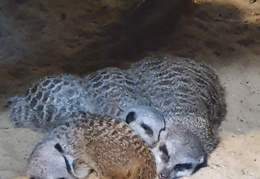 2019-08-31 11.02.28-1 - Kopie