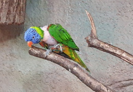 2019-08-31 11.04.14 - Kopie