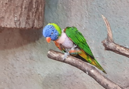 2019-08-31 11.04.16 - Kopie