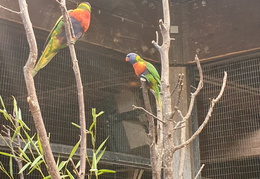 2019-08-31 11.05.18-1 - Kopie