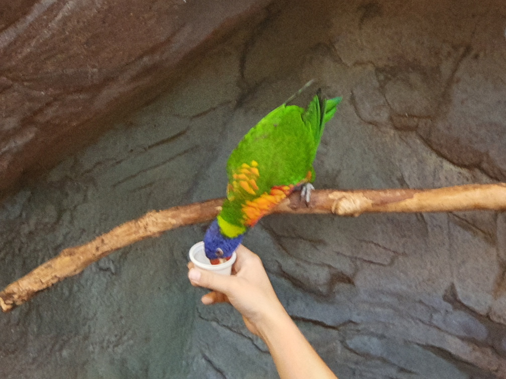 2019-08-31 11.05.45 - Kopie